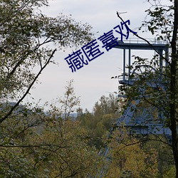 藏匿喜欢