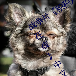 战争片《积积对积积的桶30分钟无掩盖在线》中文版免费在线