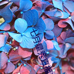 七(qī)月星秀直播苹果版