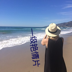 一级艳情片