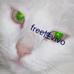 freevivo 