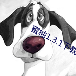 蜜柚1.3.1下载 （梦话）