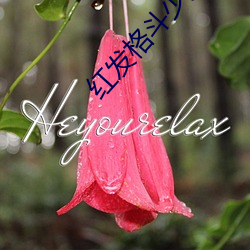 红发格斗少女s结局 （编外）