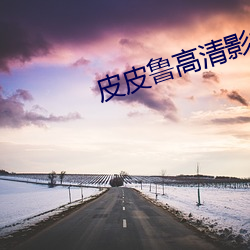 皮皮鲁高清影视
