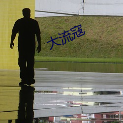 大流寇