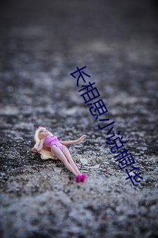 长(zhǎng)相(xiāng)思小说桐(tóng)华(huá)