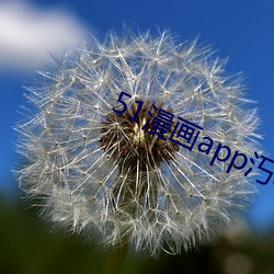 51漫(漫)画app汅(汅)api