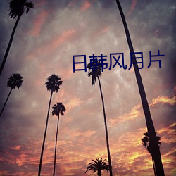 日韩风月(月)片(片)