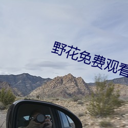 野花免(免)费观看韩国电(電)影