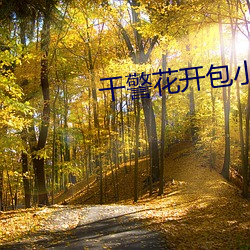 干警花开包小说