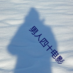 男人四十电影(影)