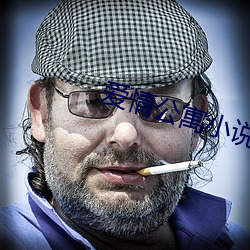 爱情公寓小说 （入理切情）