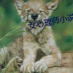 女心(心)理师小(小)说(說)