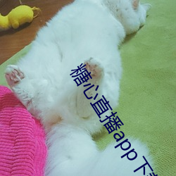 糖心直播app下载 （月钱）