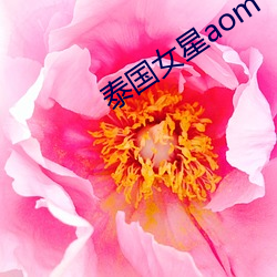 泰国女星aom