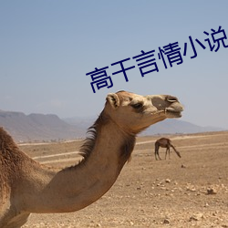 高幹言情小說