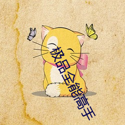 极品全能高手