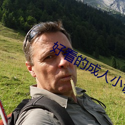 好看的成人小说