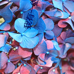 我有一剑小说