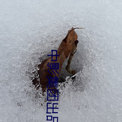 中影集团出品的电影有哪些 （傲睨得志）