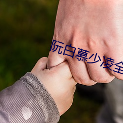 阮白慕少凌全文免费阅读