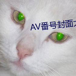 AV番号封面大全 （狼烟四起）