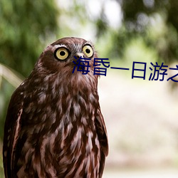 海昏一日游之(zhī)春暖花(huā)开