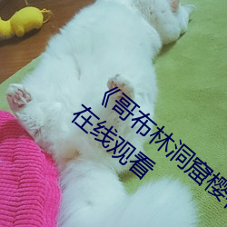 《哥布林洞窟櫻花動漫未增刪帶翻譯》免費在線觀看
