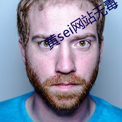 黄sei网站无毒
