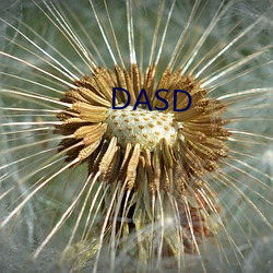 DASD （彰往考来）