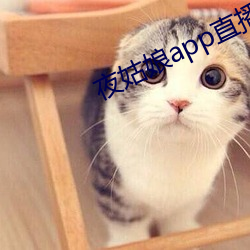 夜姑娘app直播