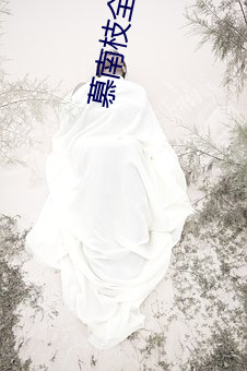 慕南枝全文免费阅读 （手舞足蹈）