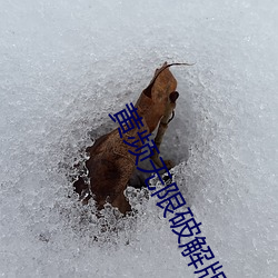 黄频无限破解版无限看软(ruǎn)件