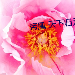 帝凰 天下归(guī)元(yuán)