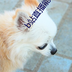 b站直播能禁止id觀看嗎