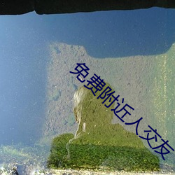 免(免)费(費)附近人(人)交友