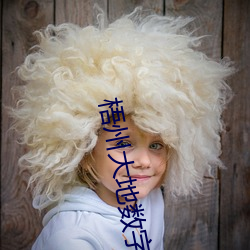 梧(wú)州大地数(shù)字(zì)影(yǐng)院