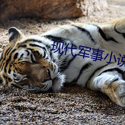 现代军事小说