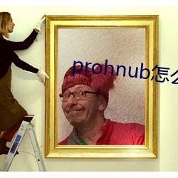 prohnub怎么进入