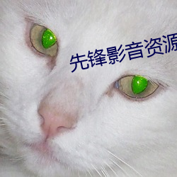 先锋影音资源站(zhàn)