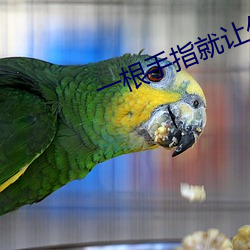 一根手指就让你叫成这样 （染指垂涎）