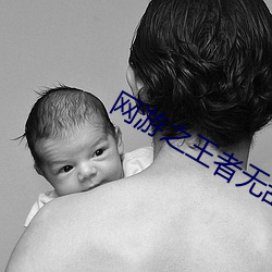 网游(yóu)之王者无敌