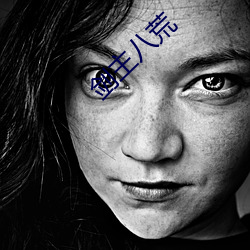 剑主八荒 （党同妒异）