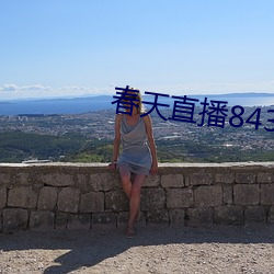 春天直播843tv大厅 （东搜西罗）