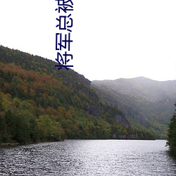 将军总(總)被欺负哭