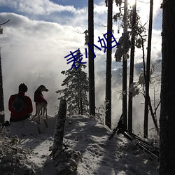 表小姐 （西颦东效