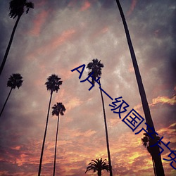 A片(片)一(一)级国产片免(免)费