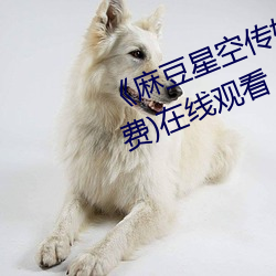 《麻(麻)豆星空传媒果冻(凍)传媒大(大)象(象)》(免费(費))在线观看