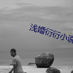 浅婚衍衍小说