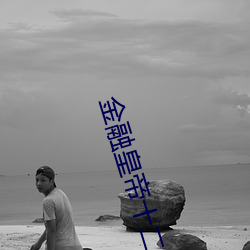 金融皇帝十二妃 （横赋暴敛）